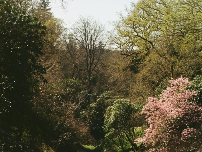 Wakehurst Gardens, Sussex