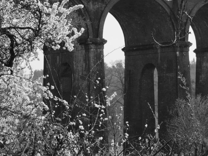 Viaduct near Brighton Station